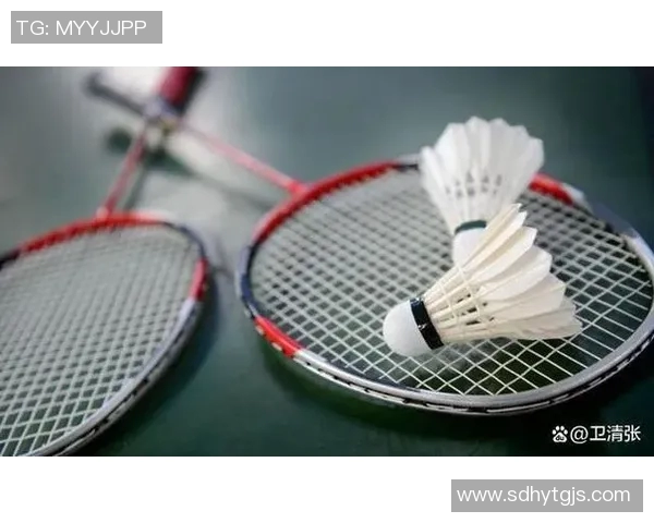 羽毛球裁判公正性探讨及赛事争议事件对比赛结果影响分析 羽毛球裁判公正性探讨及赛事争议事件对比赛结果影响分析